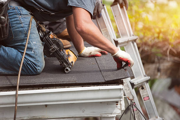 Roof Gutter Cleaning in Binghamton University, NY
