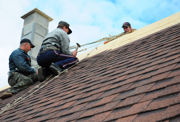 Best Roof Waterproofing Services  in Binghamton University, NY